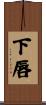 下唇 Scroll