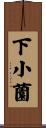 下小薗 Scroll