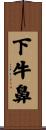 下牛鼻 Scroll