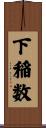 下稲数 Scroll