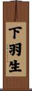 下羽生 Scroll