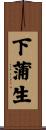 下蒲生 Scroll