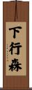 下行森 Scroll