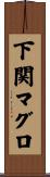 下関マグロ Scroll
