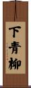 下青柳 Scroll