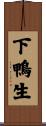下鴨生 Scroll