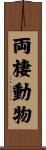 両棲動物 Scroll