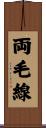 両毛線 Scroll