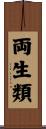 両生類 Scroll