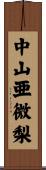 中山亜微梨 Scroll