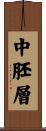 中胚層 Scroll