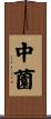 中薗 Scroll