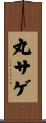 丸サゲ Scroll