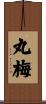 丸梅 Scroll