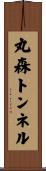 丸森トンネル Scroll