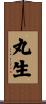 丸生 Scroll