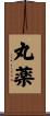 丸薬 Scroll