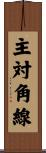 主対角線 Scroll
