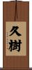 久樹 Scroll