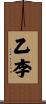 乙李 Scroll