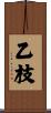 乙枝 Scroll