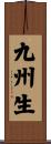 九州生 Scroll