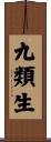 九類生 Scroll
