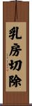 乳房切除 Scroll