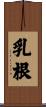 乳根 Scroll