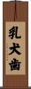 乳犬歯 Scroll