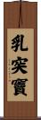 乳突竇 Scroll