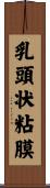 乳頭状粘膜 Scroll