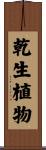 乾生植物 Scroll