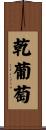 乾葡萄 Scroll
