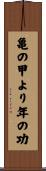 亀の甲より年の功 Scroll