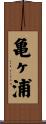亀ヶ浦 Scroll