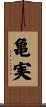 亀実 Scroll