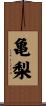 亀梨 Scroll