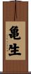 亀生 Scroll