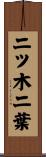 二ツ木二葉 Scroll