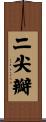 二尖瓣 Scroll