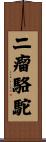 二瘤駱駝 Scroll