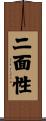 二面性 Scroll