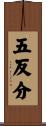 五反分 Scroll