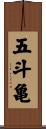 五斗亀 Scroll