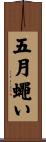 五月蠅い Scroll