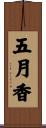 五月香 Scroll