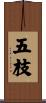五枝 Scroll