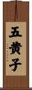 五黄子 Scroll