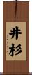 井杉 Scroll